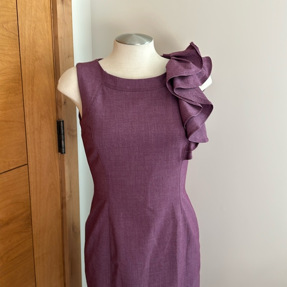 Calvin Klein Plum Dress (sz 2)
